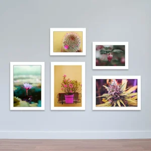 Bộ 5 khung ảnh trắng phong cảnh treo tường