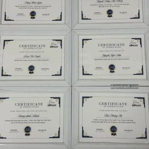 Combo giấy chứng nhận kèm khung trắng số lượng lớn