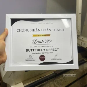 Khung giấy chứng nhận A4 màu trắng hiện đại